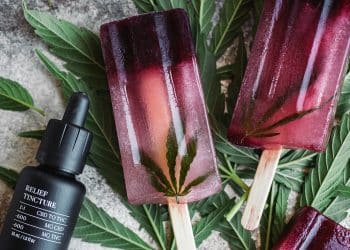 Beat the heat with a cool treat! Pomegranate Mint Tea Ice Pops A Wellfounded Collab - Nothing better than a sweet frozen treat to lift you up!