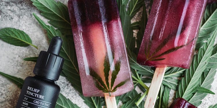 Beat the heat with a cool treat! Pomegranate Mint Tea Ice Pops A Wellfounded Collab - Nothing better than a sweet frozen treat to lift you up!