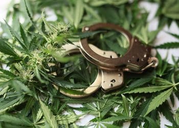 Federal cannabis prisoners dropped 61% over a five-year period-new report from the Department of Justice.