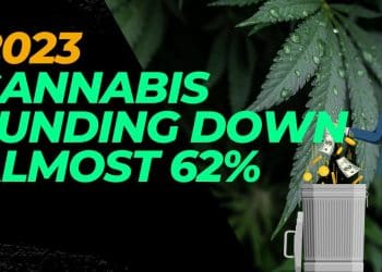 Cannabis Funding Deals Hit a Rough Patch in 2023 | High at 9 News Analysis