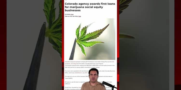 Tuesday October 3rd 2023 Top Headlines of the Day! High At 9 News #highat9news #cannabisnews