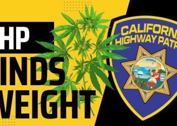 3 Santa Rosa Men Arrested with 50 lbs of Illegal Pot! | High at 9 News