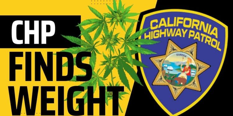 3 Santa Rosa Men Arrested with 50 lbs of Illegal Pot! | High at 9 News