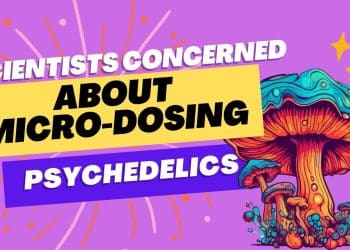 Scientific Concerns: Psychedelic Microdosing and Valvular Heart Disease Risk – What You Need to Know