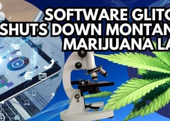 Montana Marijuana Lab Shuts Down Due to Compliance Software Glitch | High at 9 News Report