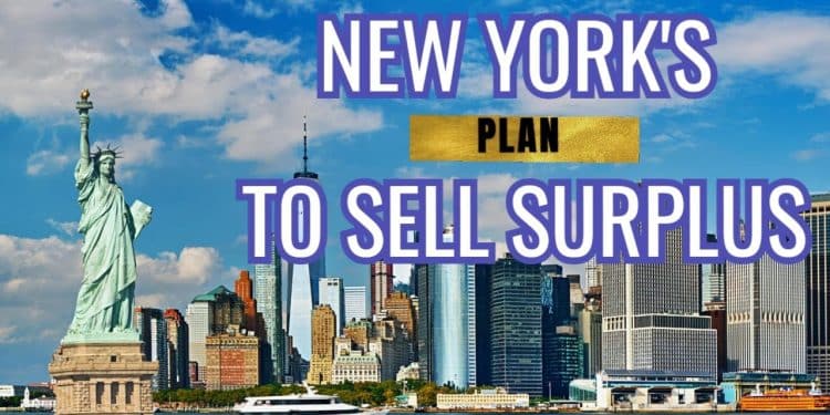 New York Cannabis Regulator Plans 1,500 New Licenses to Address Surplus | High at 9 News Update