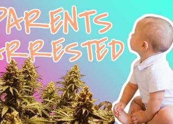 Parents Charged After 1-Year-Old Found Alone Near 15 Pounds of Marijuana | High at 9 News Report
