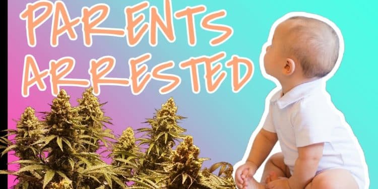 Parents Charged After 1-Year-Old Found Alone Near 15 Pounds of Marijuana | High at 9 News Report