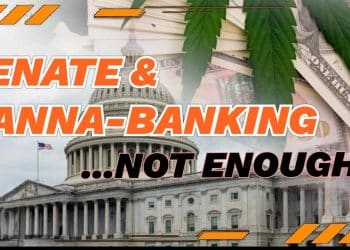 US Senate Debates Cannabis Banking Reform: Is It Enough? | High at 9 News Analysis