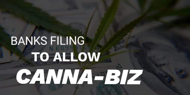 Over 800 Banks Embrace Cannabis Businesses! 💼🌿