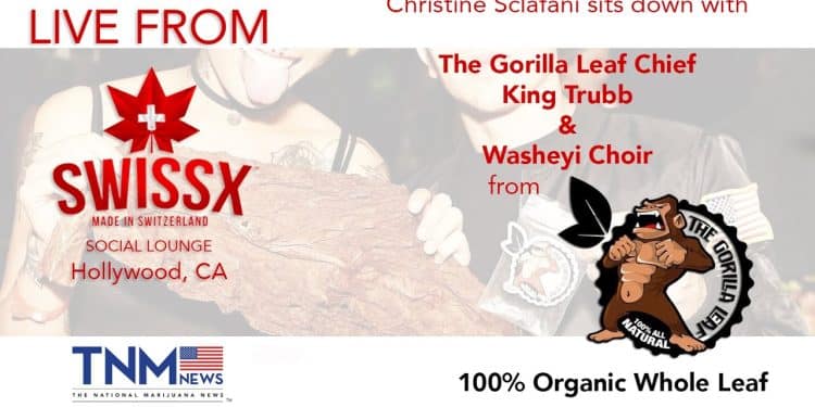 TNMNews.com | Interview with King Trubb and Washeyi Choir from Gorilla Leaf at SWISSX Social Club