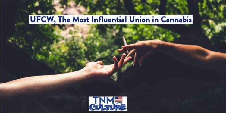 UFCW, The Most Influential Union in Cannabis by Christine Sclafani | TNMNews.com | Marijuana News