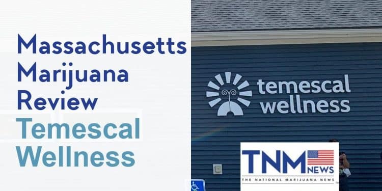 Temescal Wellness Review: Massachusetts Recreational Marijuana Dispensary | TNMNews.com | Cannabis