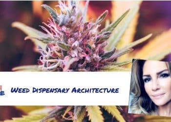Weed Dispensary Architecture By Christine Sclafani TNMNews.com | Marijuana News, Cannabis Culture