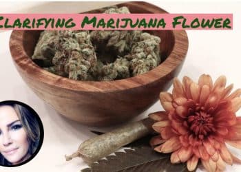Clarifying Marijuana Flower By Christine Sclafani TNMNews.com | Marijuana News, Cannabis Culture