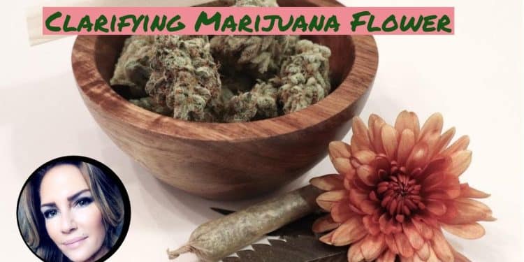 Clarifying Marijuana Flower By Christine Sclafani TNMNews.com | Marijuana News, Cannabis Culture