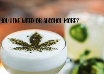 Do you Like Weed or Alcohol More? By Christine Sclafani TNMNews.com | Marijuana News