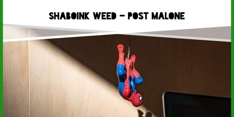 Shaboink Weed – Post Malone By Christine Sclafani TNMNews.com | Marijuana News, Cannabis Culture