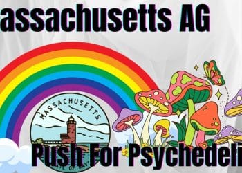 LEGAL MUSHROOMS in MASSACHUSETTS?