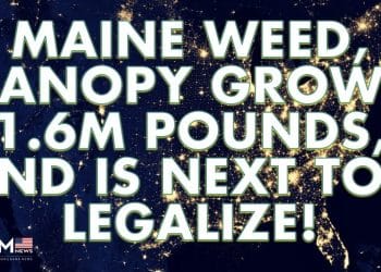Maine Marijuana, Voting Changes Laws, North Dakota Will Go Rec Next | TNMNews.com