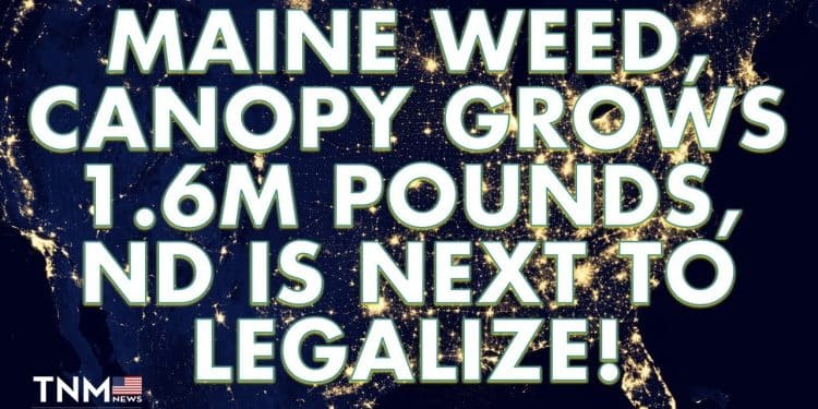 Maine Marijuana, Voting Changes Laws, North Dakota Will Go Rec Next | TNMNews.com