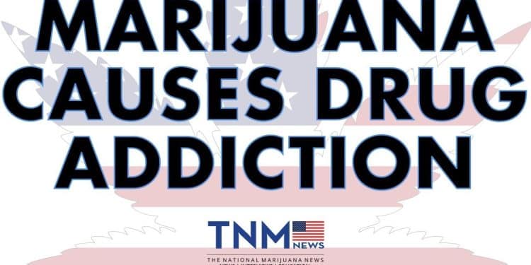 Sheriff Grady Judd’s Take on Marijuana After Meeting with Trump