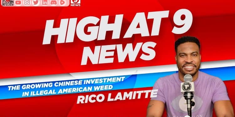 High At 9 News : Rico Lamitte  – The growing Chinese investment in illegal American weed