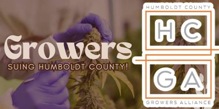 Measure A Proponents Deceived Public on Humboldt Cannabis Initiative
