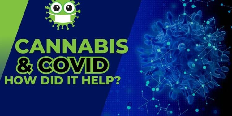 Marijuana Consumers Who Caught COVID Had ‘Better Outcomes And Mortality’ Than Nonusers Study Finds