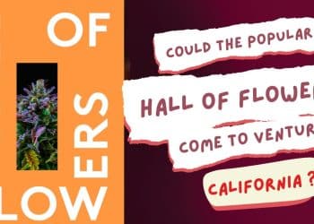 Huge Cannabis Trade Show Possibly Coming to Ventura County Fairgrounds!