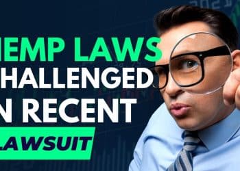 Legal Battles Over Hemp Laws Reflect a Growing Cannabis Divide