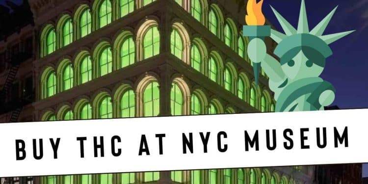 Cannabis for Sale at NYC’s Weed Museum, But No Consumption Allowed!!