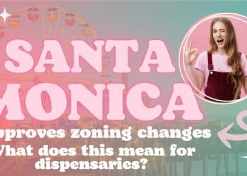Council Approves Zoning Changes Allowing Sale and Delivery of Adult-Use Cannabis.