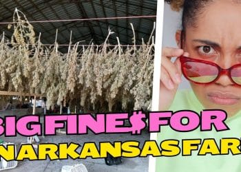 Arkansas Marijuana Facility Slapped with Hefty Fine for Multiple Regulatory Violations