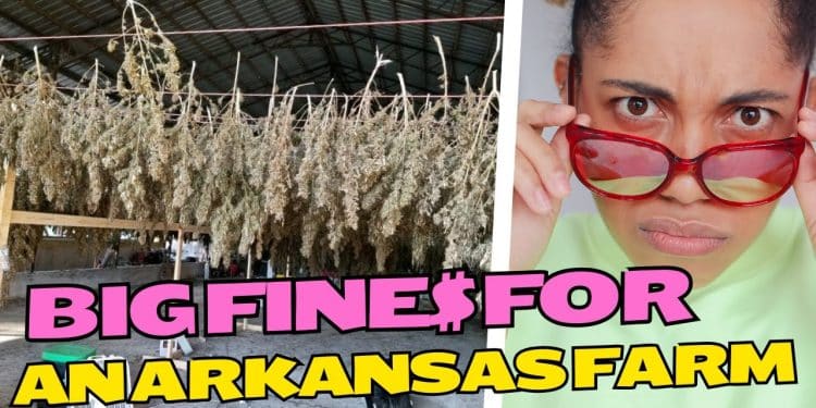 Arkansas Marijuana Facility Slapped with Hefty Fine for Multiple Regulatory Violations