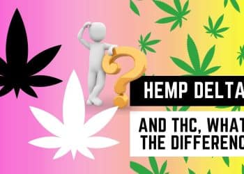 Is Hemp-Derived Delta-9 THC Real Weed? Find Out the Facts