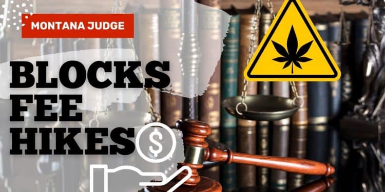 Montana Judge Blocks Cumulative Cannabis Dispensary Fee Hikes