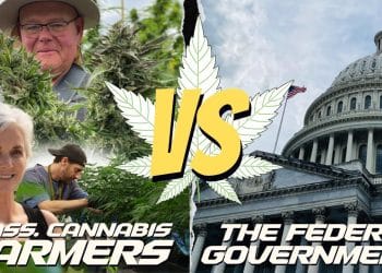 Massachusetts Cannabis Businesses Unite to Sue Federal Government Authorities over Federal Laws