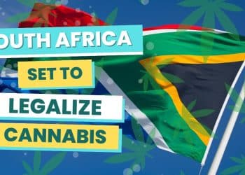 South Africa on the Brink of Cannabis Legalization for Personal Use!