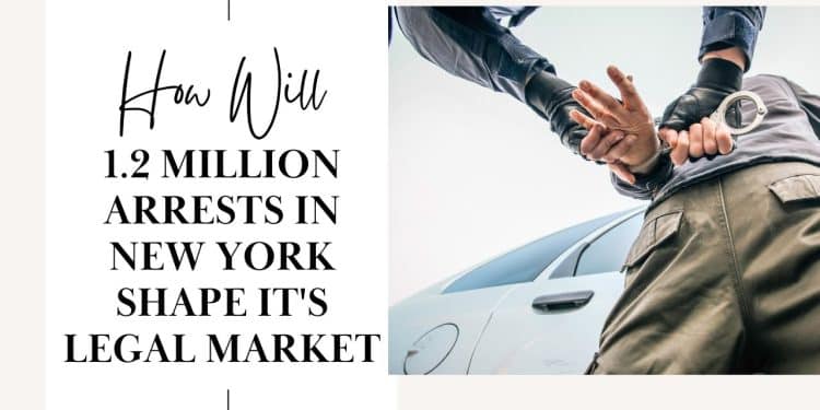 New York’s Legal Shift: Impact of 1.2 Million Marijuana Arrests on the Market!