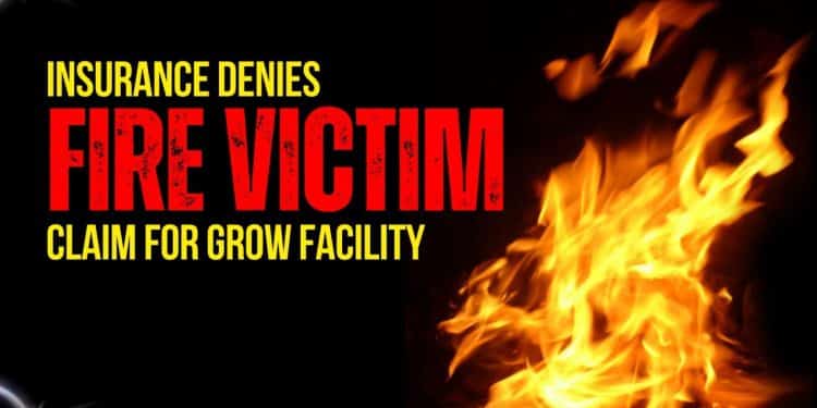 Michigan Panel Denies Insurance Coverage: Marijuana Grow House Fire Insurance Denied!
