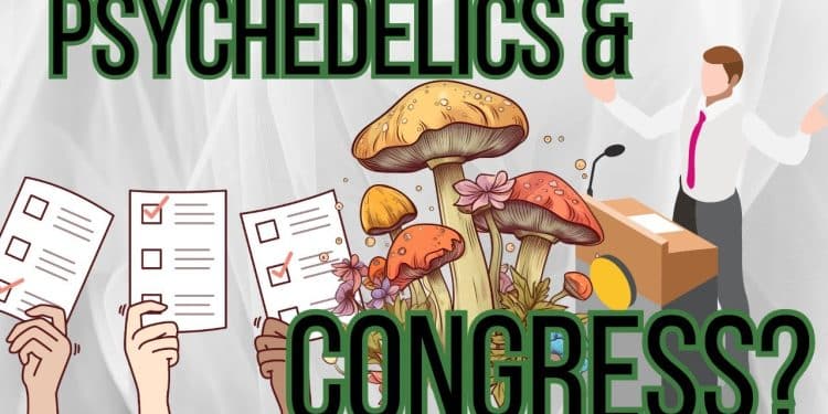 House Committee Clears Psychedelics Amendments To Defense Bill 4 Floor Votes, But Blocks MJ Proposal