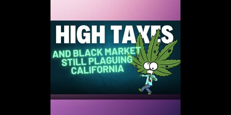 Cannabis Conundrum: Southern California Struggles with Illicit Competition and High Taxes!