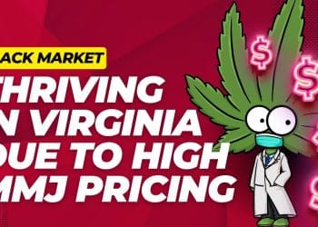 High Costs, Hidden Risks: Virginia Medical Marijuana Prices Drive Patients to Illicit Market!