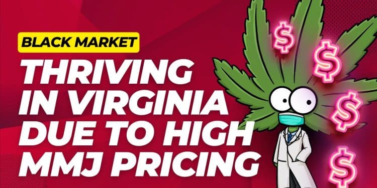 High Costs, Hidden Risks: Virginia Medical Marijuana Prices Drive Patients to Illicit Market!