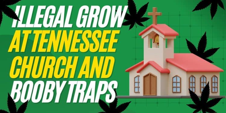 The Truth Revealed: Booby Traps and Marijuana Plants Discovered in Church