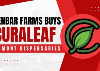 Zen Barn Farms Buys Cure Leaf: The Unexpected Cannabis Acquisition
