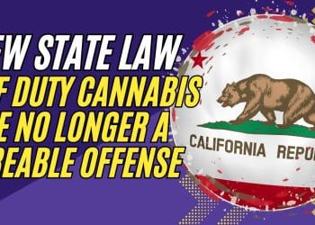 California’s New Laws Protect Cannabis Users!