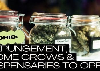 Celebrating Ohio’s New Cannabis Law Victory