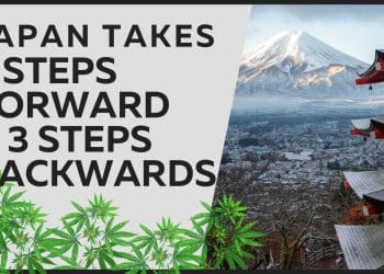 Japan’s New Cannabis Laws: A Game-Changer?